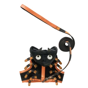 Thrills & Chills™ Halloween Spider Kitten & Cat Leash & Harness Combo