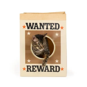Thrills & Chills™ Halloween Wanted Sack Cat Toy