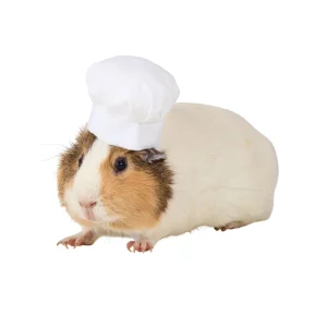 Thrills & Chills® Small Pet Chef Hat Costume
