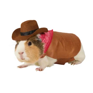 Thrills & Chills® Small Pet Cowboy Costume