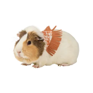 Thrills & Chills® Small Pet Fringe Bandana