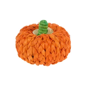Thrills & Chills® Small Pet Pumpkin Chew