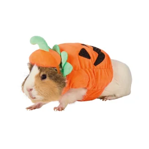 Thrills & Chills® Small Pet Pumpkin Costume