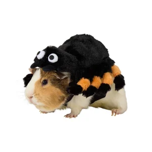 Thrills & Chills® Small Pet Spider Costume