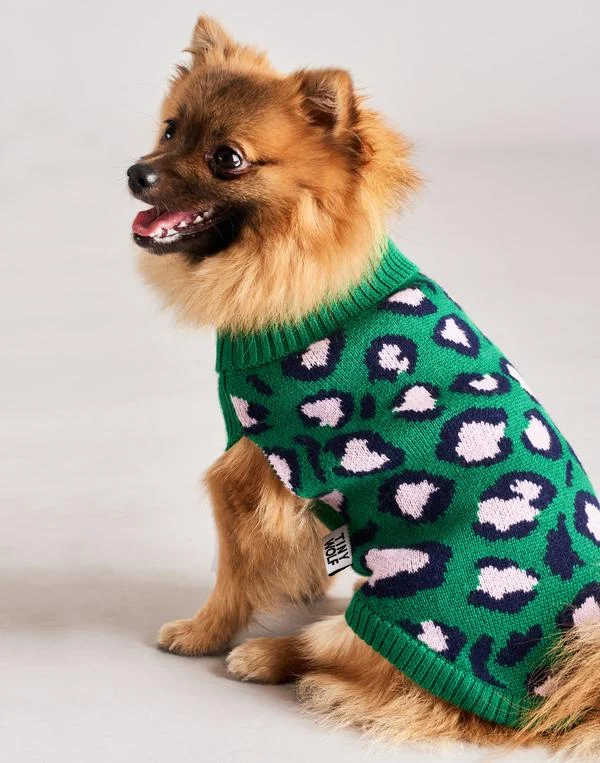 TINY WOLF | Leopard Print Dog Sweater
