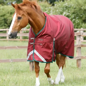 Titan 100g Original Turnout Rug Burgundy