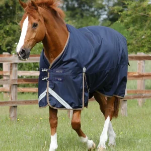 Titan 100g Original Turnout Rug Navy