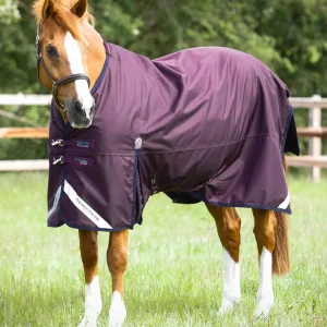 Titan 200g Original Turnout Rug Purple