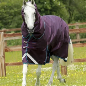 Titan 200g Turnout Rug with Snug-Fit Neck Cover Purple
