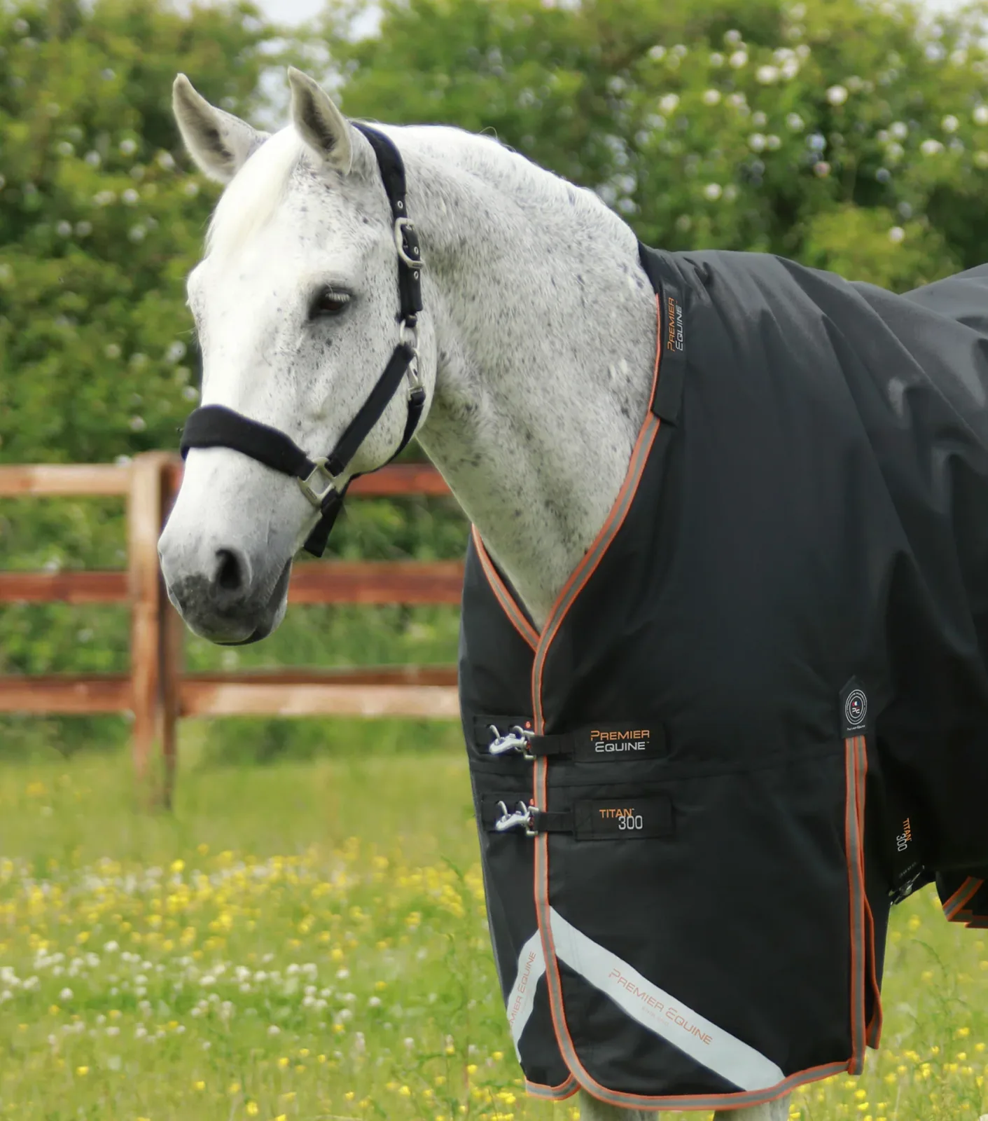 Titan 300g Turnout Rug with Snug-Fit Neck Cover Black - Image 2