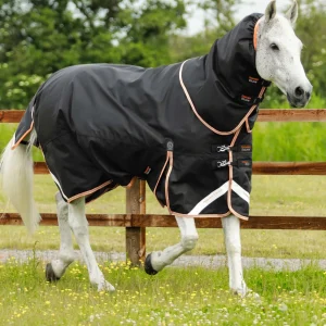 Titan 300g Turnout Rug with Snug-Fit Neck Cover Black