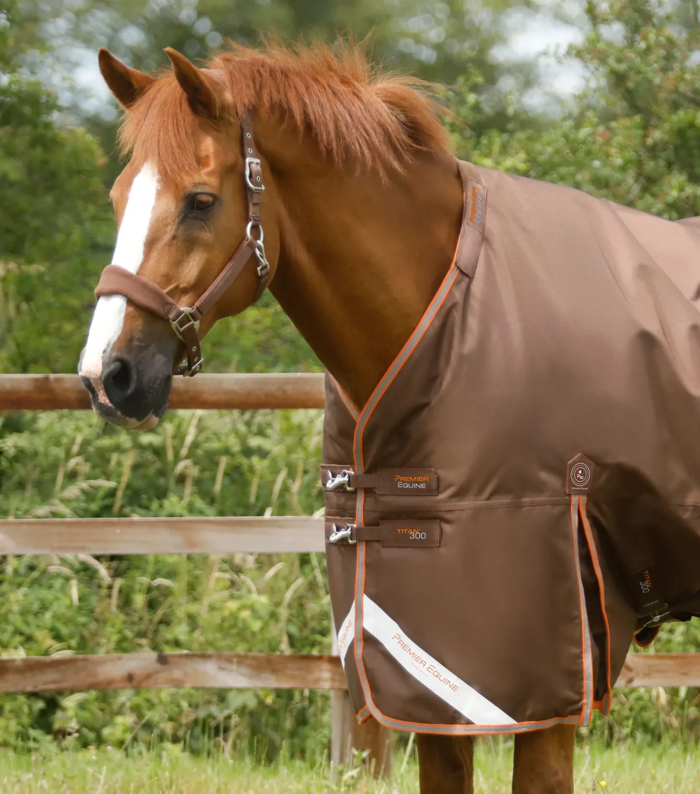 Titan 300g Turnout Rug with Snug-Fit Neck Cover Brown - Image 2