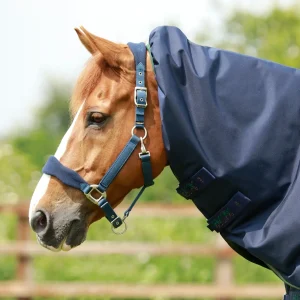Titan 40g Neck Cover (40g Fill)