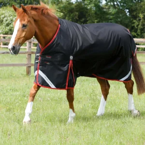 Titan 450g Original Turnout Rug Black