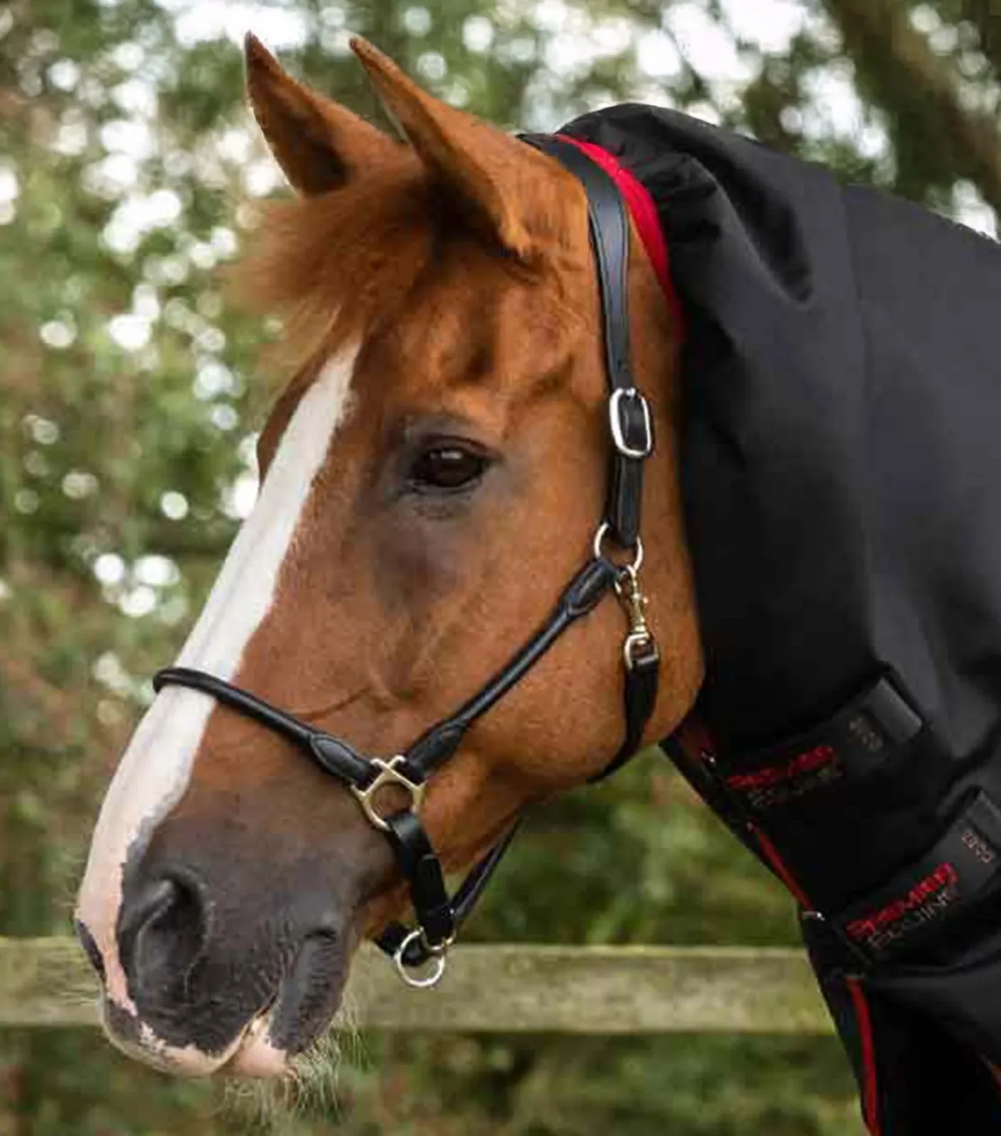 Titan 450g Turnout Rug with Snug-Fit Neck Cover Black - Image 2