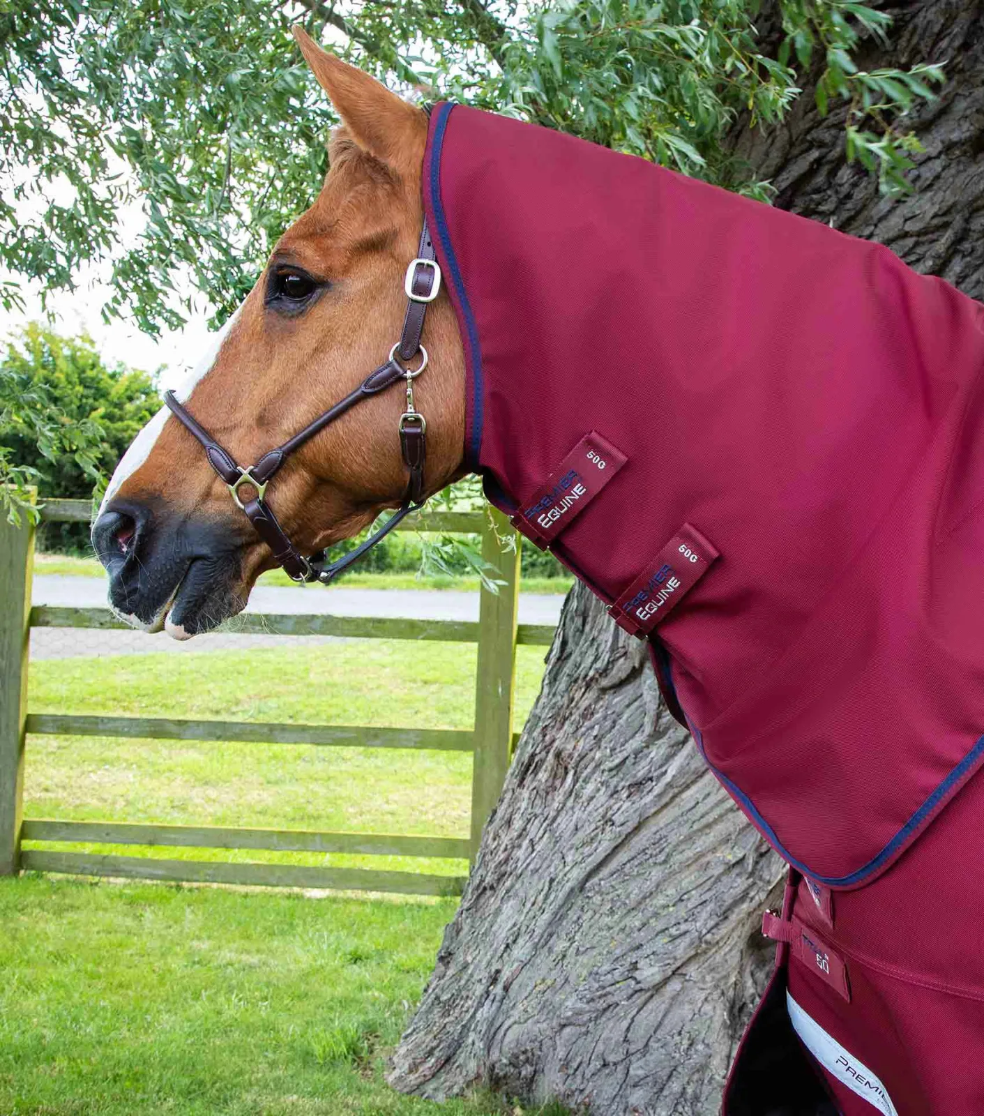 Titan 50g Turnout Rug with Classic Neck Cover Burgundy - Image 2