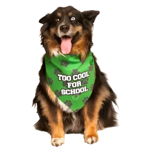 Too Cool For School Bandana by Dog Fashion Living