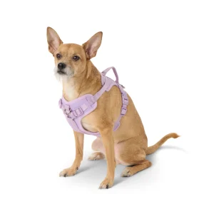 Top Paw® Adjustable Neoprene Comfort Dog Harness, Multiple Colors & Sizes