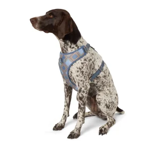 Top Paw® Aztec Adjustable Fashion Comfort Dog Harness