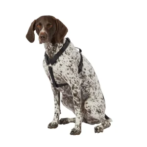 Top Paw® Basic Dog Harness, Slip On Dog Harness, Adjustable, Multiple Colors, Multiple Sizes