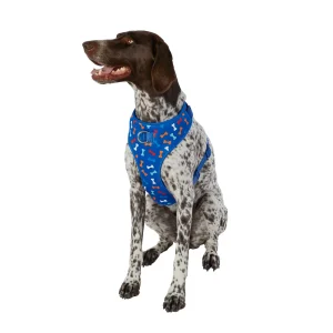 Top Paw® Blue Bones Adjustable Comfort Dog Harness