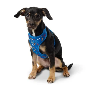 Top Paw® Blue Bones Adjustable Comfort Dog Harness XXS
