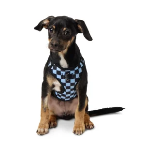 Top Paw® Blue Checkered Adjustable Fashion Comfort Dog Harness