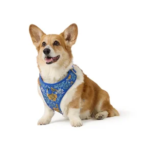 Top Paw® Blue Floral Adjustable Comfort Dog Harness