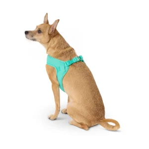 Top Paw® Comfort Slip-On Dog Harness, Comfortable Dog Harness, Adjustable, Neoprene, Multiple Sizes