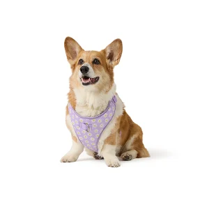 Top Paw® Daisy Dog Harness, Purple Dog Harness, Adjustable Dog Harness, Comfortable, Multi Size