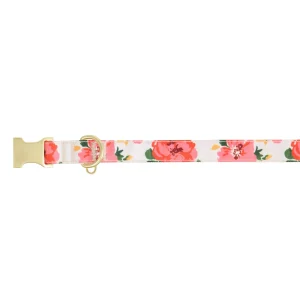 Top Paw® Floral Dog Collar, White Dog Collar, Flower Dog Collar, Adjustable, Comort, Multiple Sizes