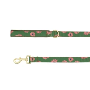 Top Paw® Floral Dog Leash, Flower Dog Leash, Walking Dog Leash, Neoprene Handle, 4' Long