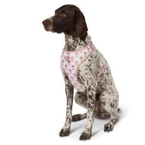 Top Paw® Flower Dog Harness, Comfort Dog Harness, Adjustable, White, Pink, Multiple Sizes