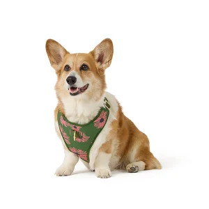 Top Paw® Green Floral Adjustable Comfort Dog Harness