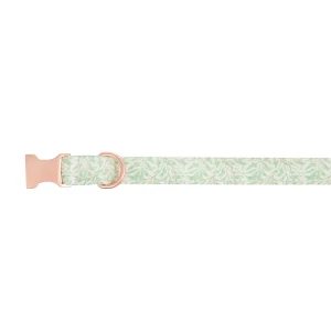 Top Paw® Green Leaves Dog Collar, Green & White Dog Collar, Adjustable, Neoprene, Multiple Sizes