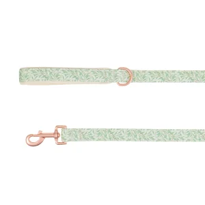 Top Paw® Green Leaves Dog Leash, Green & White Dog Leash, Walking Dog Leash, 4' Long