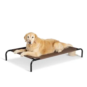Top Paw® Indoor/Outdoor Elevated Cooling Dog Bed with Breathable Fabric, 52L x 32W, 60L x 37W