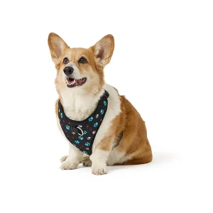 Top Paw® Paw Print Dog Harness, Vest Dog Harness, Comfortable, Adjustable, Black, Multiple Sizes