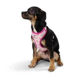 Top Paw® Princess Adjustable Comfort Dog Harness