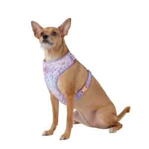 Top Paw® Purple Cheetah Dog Harness, Adjustable, Comfort, Neoprene, Mesh, Multiple Sizes