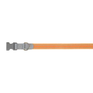 Top Paw® Reflective Dog Collar, Adjustable, Comfortable, Durable, Multiple Sizes, Multiple Colors