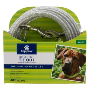 Top Paw® Reflective Dog Tie Out, Silver