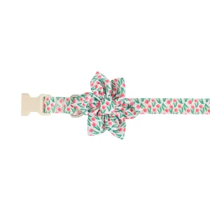 Top Paw® Rose Dog Collar, Pink, Green & White Dog Collar, Bow, Adjustable, Multiple Sizes