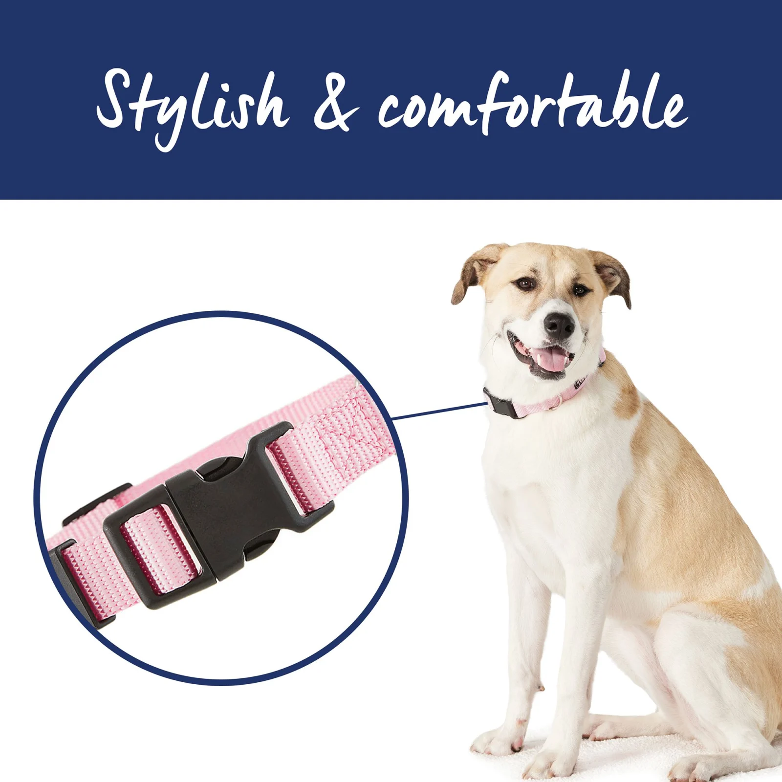Top Paw® Signature Dog Collar, Adjustable, Comfortable, Durable, Multiple Sizes, Multiple Colors - Image 2