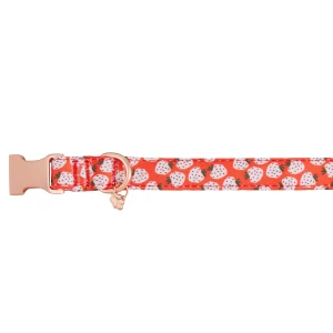 Top Paw® Strawberry Dog Collar, Red Dog Collar, Comfortable, Adjustable, Neoprene, Multiple Sizes