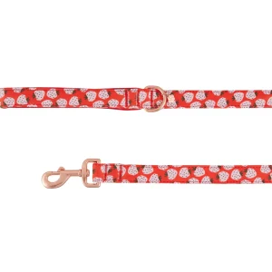 Top Paw® Strawberry Dog Leash, Red Dog Leash, Walking Dog Leash, Neoprene Handle, 4' Long