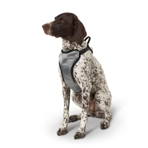 Top Paw® Travel Harness