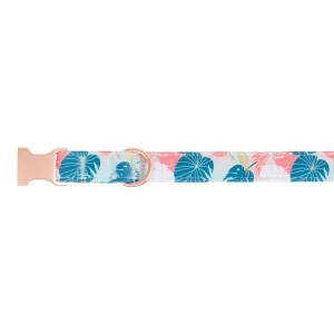 Top Paw® Tropical Leaves Dog Collar, Pink & Green Dog Collar, Adjustable, Multiple Sizes
