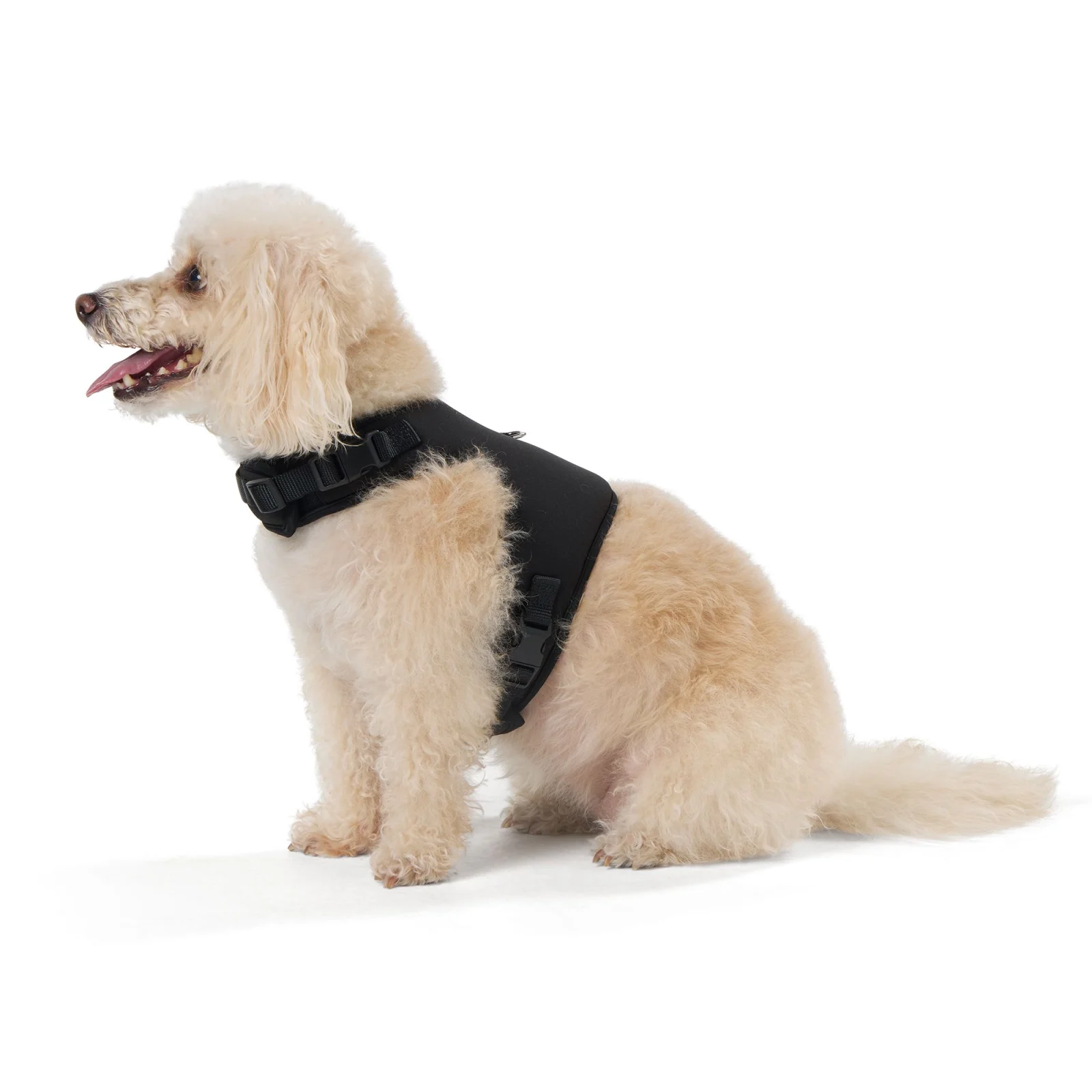 Top Paw® Vest Dog Harness, Comfortable, Adjustable, Neoprene, Multiple Colors, Multiple Sizes - Image 2
