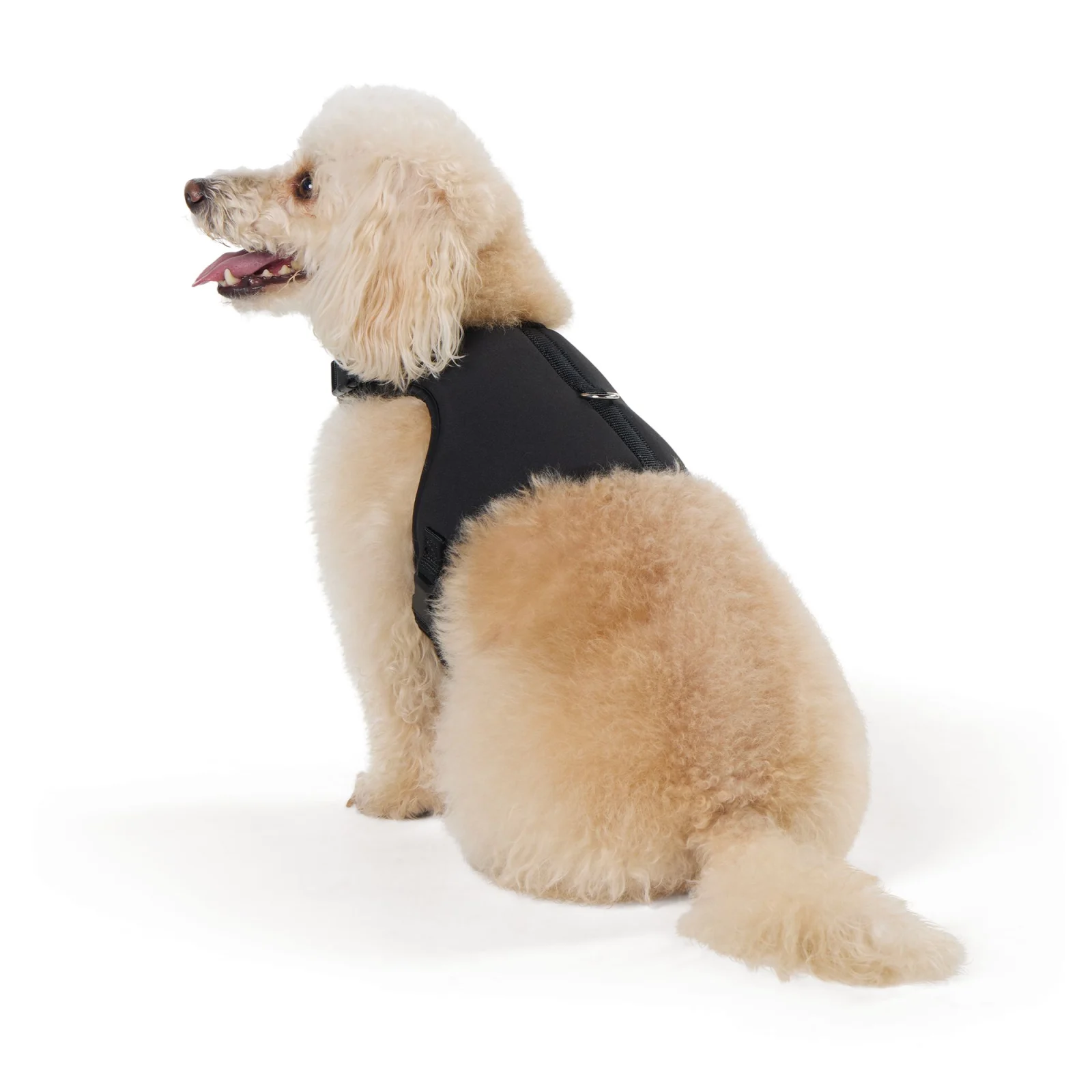 Top Paw® Vest Dog Harness, Comfortable, Adjustable, Neoprene, Multiple Colors, Multiple Sizes